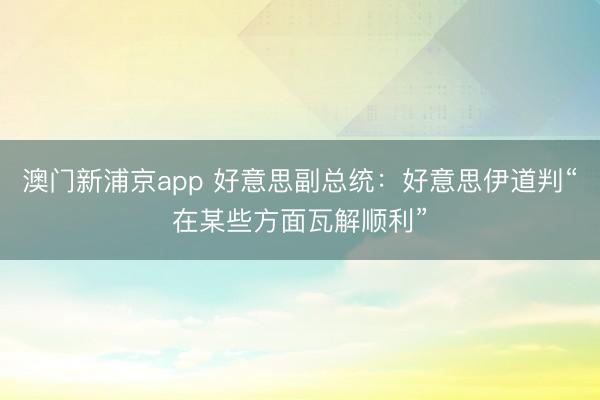 澳門(mén)新浦京app 好意思副總統(tǒng)：好意思伊道判“在某些方面瓦解順利”