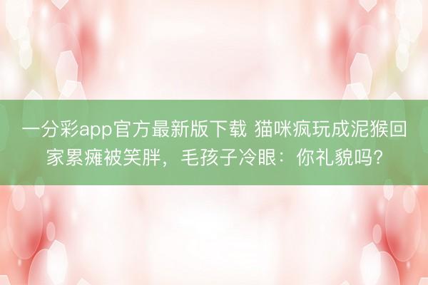 一分彩app官方最新版下載 貓咪瘋玩成泥猴回家累癱被笑胖，毛孩子冷眼：你禮貌嗎?