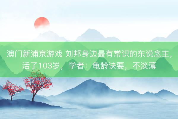 澳門新浦京游戲 劉邦身邊最有常識的東說念主，活了103歲，學(xué)者：龜齡訣要，不淡薄