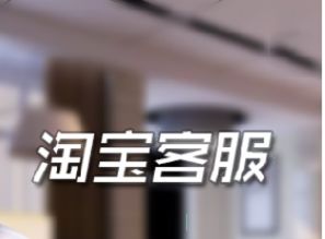 正規淘寶客服應聘指南 流程與技巧全面解析